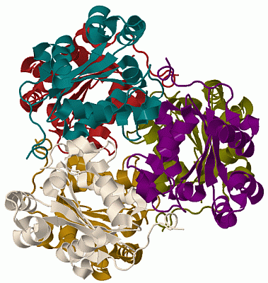 Image Biol.Unit 1 - manually