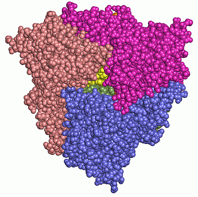 Image Asym./Biol. Unit - manually