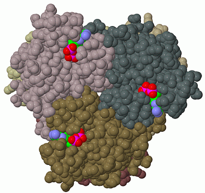 Image Biol.Unit 1 - manually