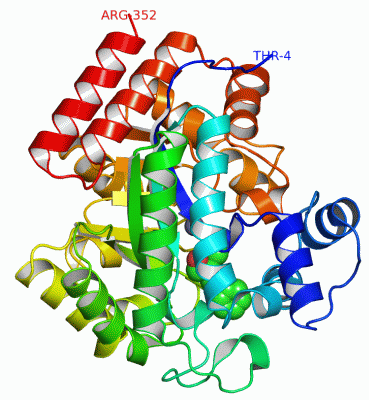 Image Asym./Biol. Unit - manually