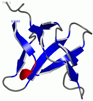 Image NMR Structure - manually