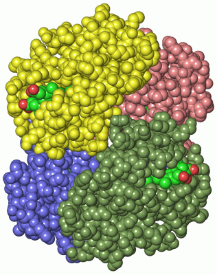 Image Asym./Biol. Unit - manually