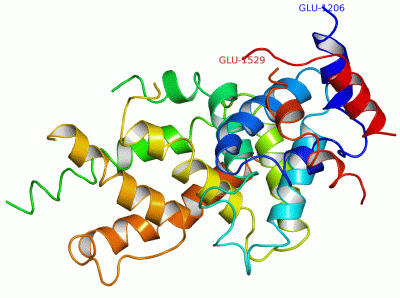 Image Asym./Biol. Unit - manually