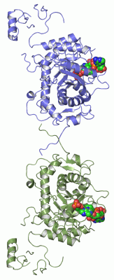 Image Asym.Unit - manually