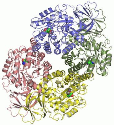 Image Asym./Biol. Unit - manually