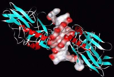 Image Asym./Biol. Unit - manually