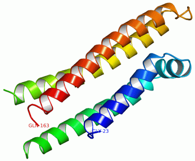 Image Asym./Biol. Unit - manually