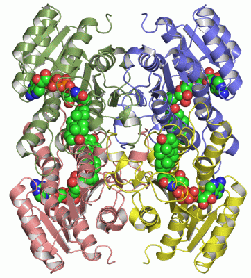 Image Asym./Biol. Unit - manually