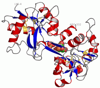 Image Asym.Unit - manually