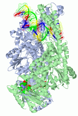 Image Asym./Biol. Unit - manually