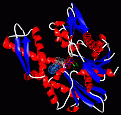 Image Asym./Biol. Unit - manually