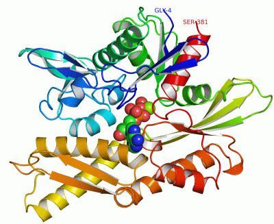 Image Asym./Biol. Unit - manually