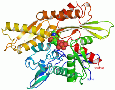 Image Asym./Biol. Unit - manually