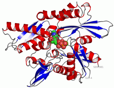 Image Asym./Biol. Unit - manually