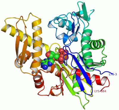 Image Asym./Biol. Unit - manually