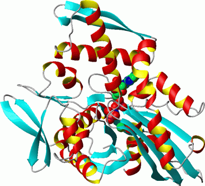 Image Asym./Biol. Unit - manually