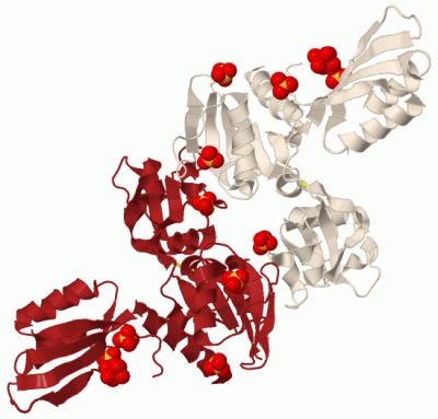 Image Biol.Unit 1 - manually