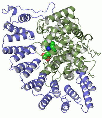 Image Asym./Biol. Unit - manually