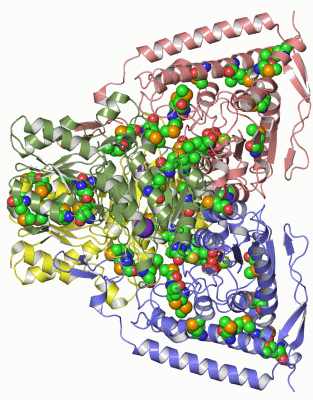 Image Asym./Biol. Unit - manually