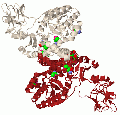 Image Biol.Unit 1 - manually