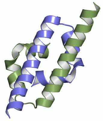 Image NMR Structure - manually