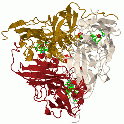 Image Biol.Unit 1 - manually