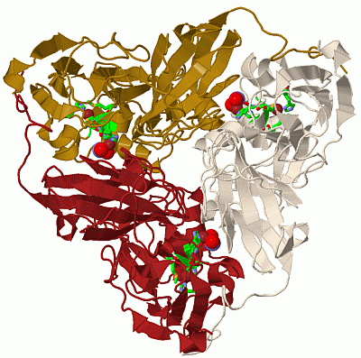 Image Biol.Unit 1 - manually