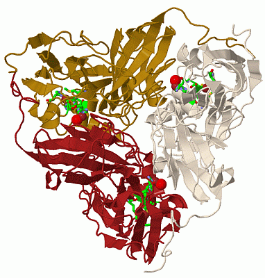 Image Biol.Unit 1 - manually