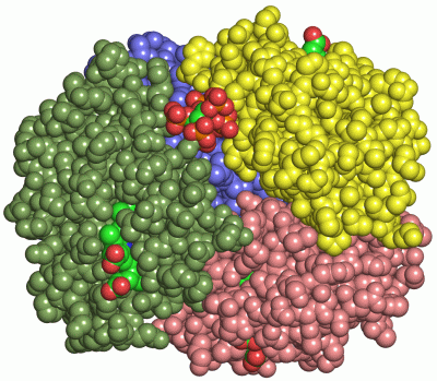 Image Asym./Biol. Unit - manually