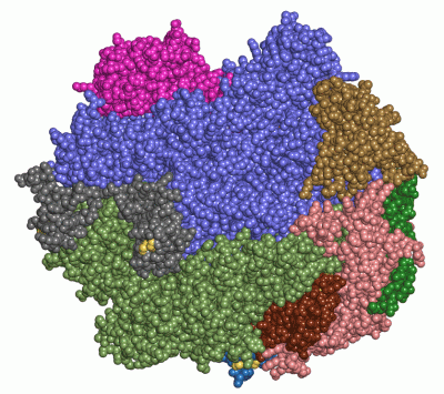 Image Asym./Biol. Unit - manually