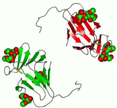 Image Asym.Unit - manually