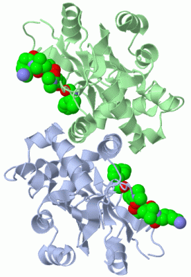 Image Biol.Unit 1 - manually