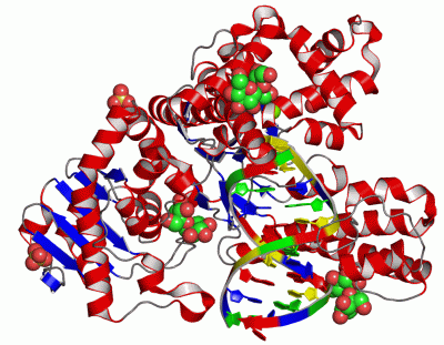 Image Asym./Biol. Unit - manually