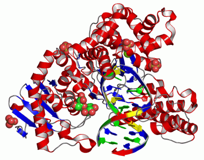 Image Asym./Biol. Unit - manually