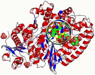 Image Asym./Biol. Unit - manually