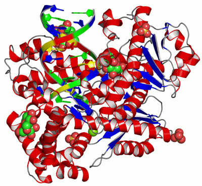 Image Asym./Biol. Unit - manually