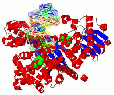 Image Asym./Biol. Unit - manually