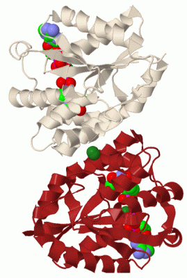 Image Biol.Unit 1 - manually