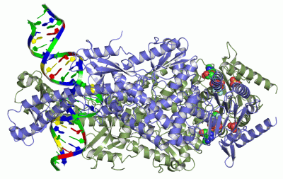 Image Asym./Biol. Unit - manually