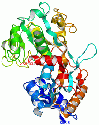 Image Asym./Biol. Unit - manually