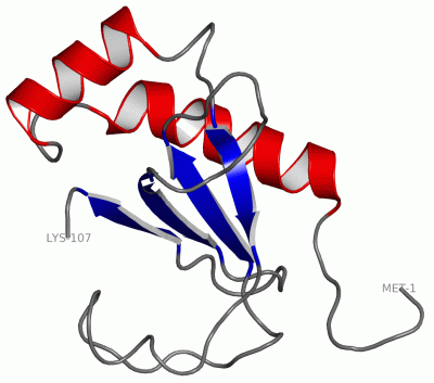 Image NMR Structure - manually