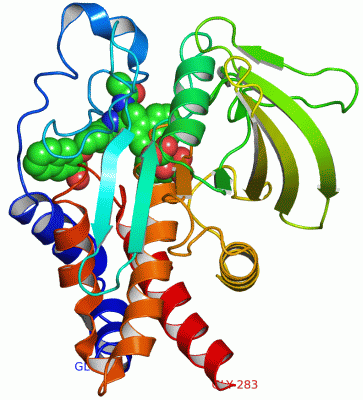 Image Asym./Biol. Unit - manually