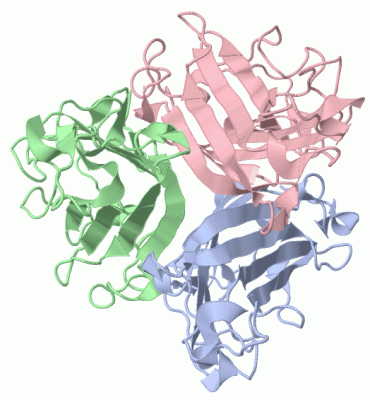 Image Biol.Unit 1 - manually