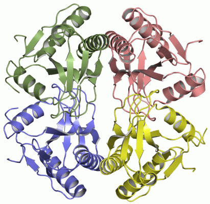 Image Asym./Biol. Unit - manually