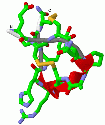 Image Asym./Biol. Unit - manually