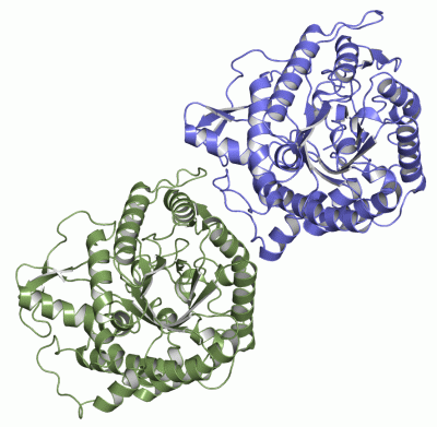 Image Asym.Unit - manually