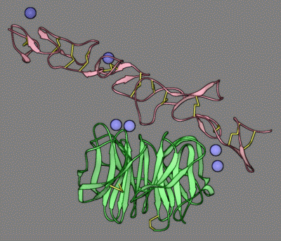 Image Asym./Biol. Unit - manually