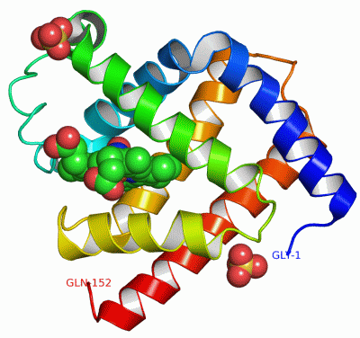 Image Asym./Biol. Unit - manually