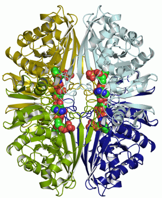 Image Asym./Biol. Unit - manually