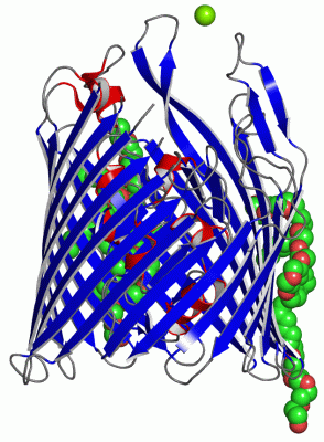 Image Asym./Biol. Unit - manually